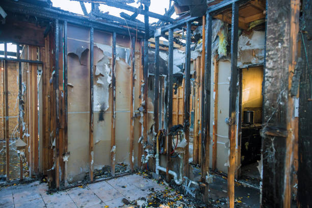 Professional Fire Damage Removal technician working in Auburn, WA