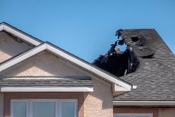 Top rated local Fire Damage Removal specialists in Auburn, WA